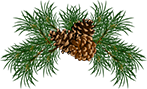 pine cone PNG13348 89x147